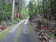 二井寺山参道