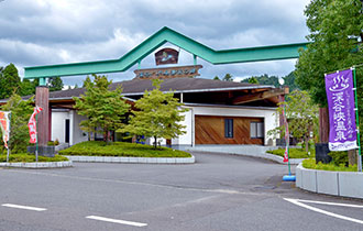 Seiryu no Sato image