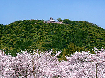 Shiroyama in Spring