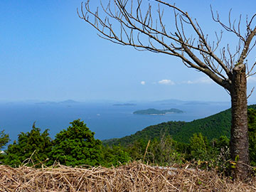 View from Mt. Daishogun