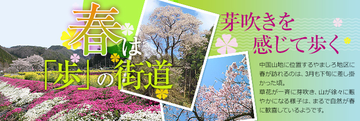 春は「歩」の街道
